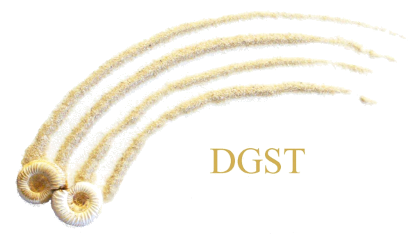 Zoom Logo DGST